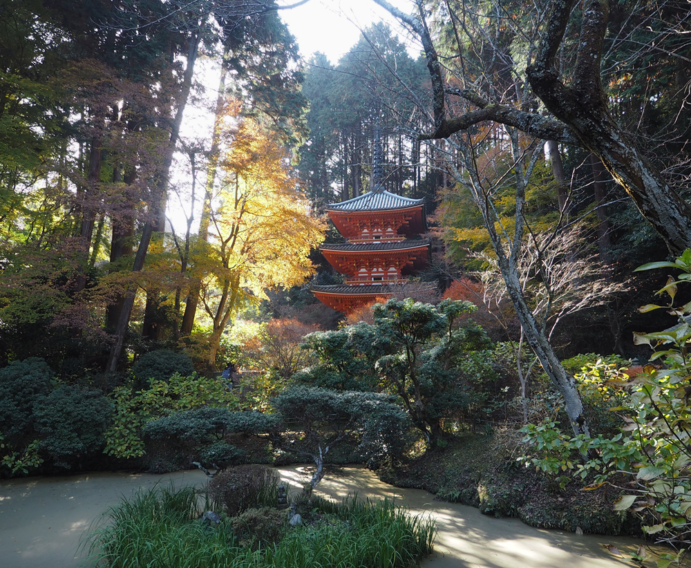 岩船寺三重塔