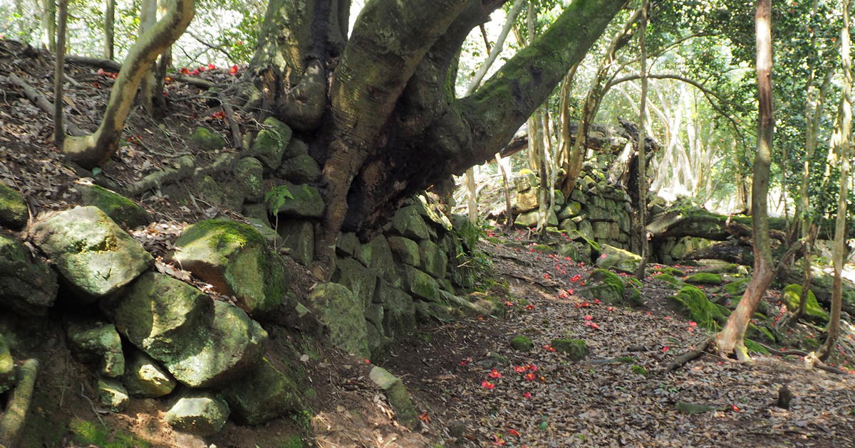 長法寺