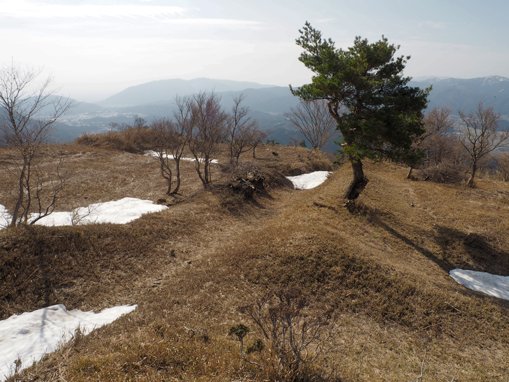 弥高寺中央参道