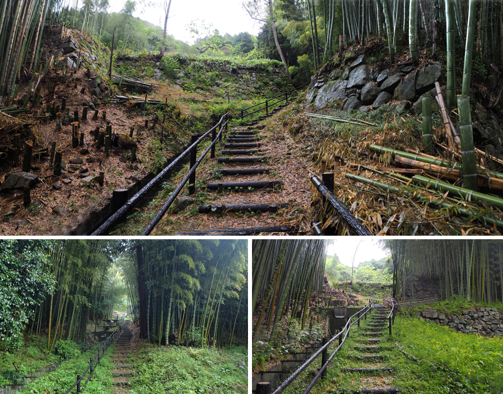 八幡山城山麓居館