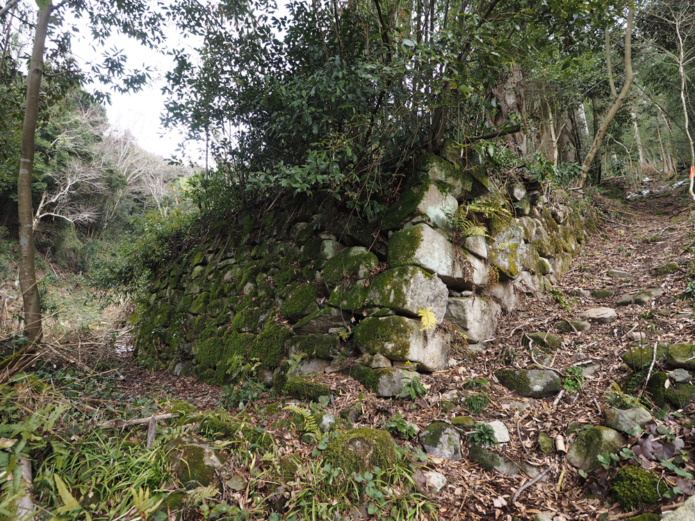 観音正寺坊院群A伝進藤邸前石垣