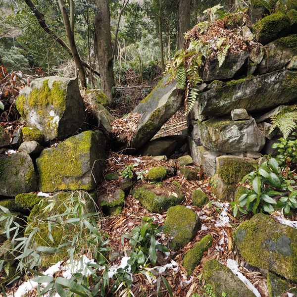 観音寺城 (7)