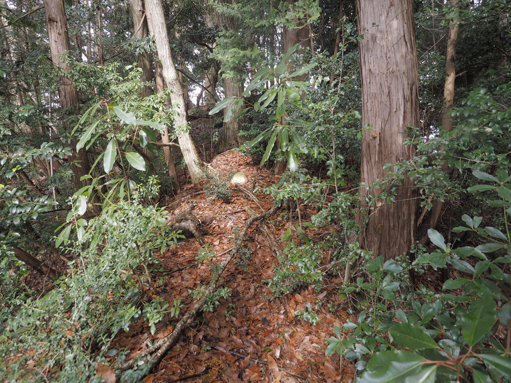 伝三井・馬渕邸境土塁