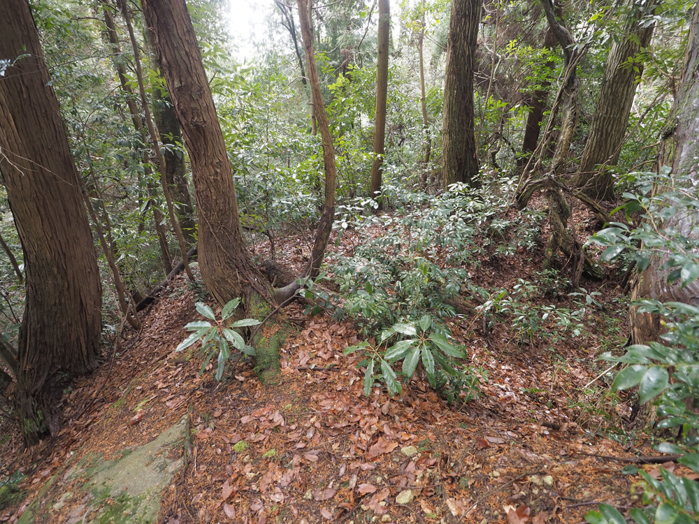 伝三井・馬渕邸境土塁