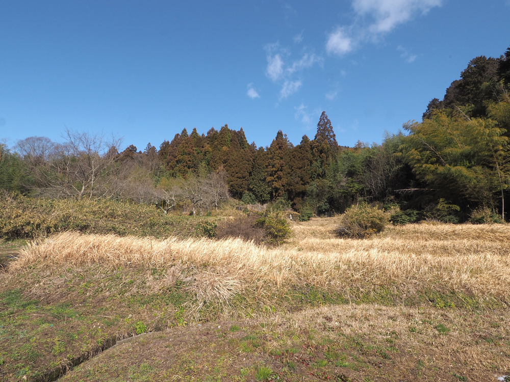 観音谷古観音堂推定地