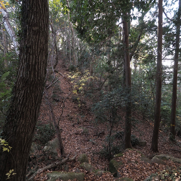 観音寺城 (12)