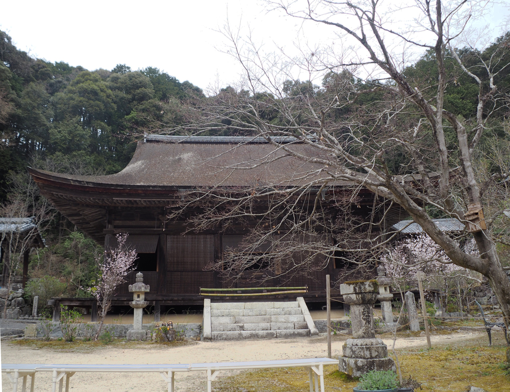 桑実寺本堂