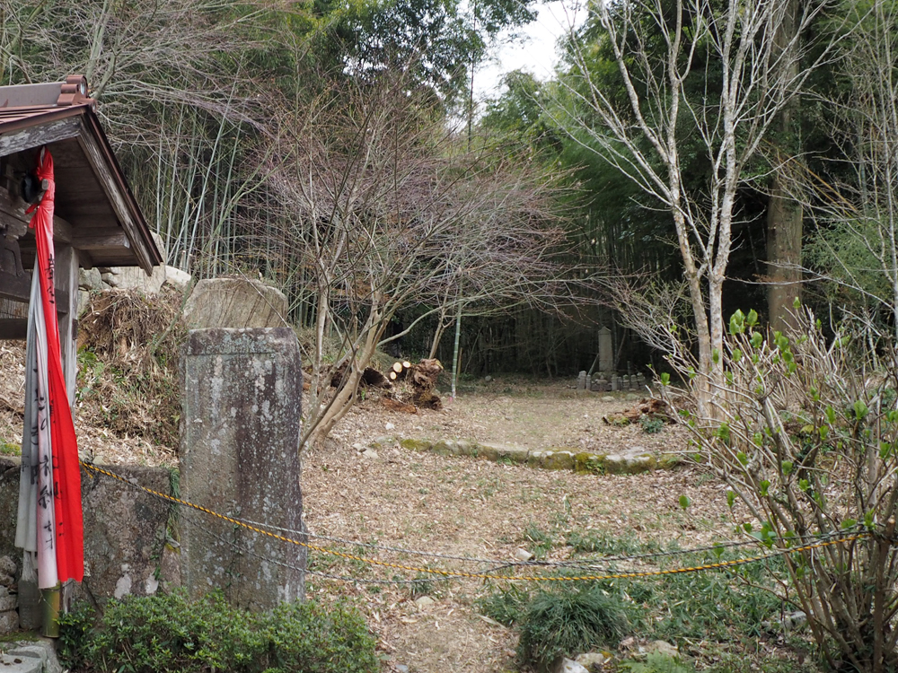 桑実寺仮幕府