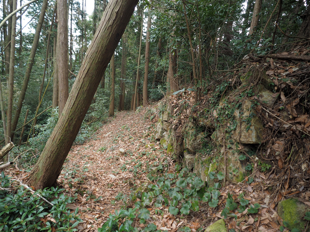 伝本丸上部ルート