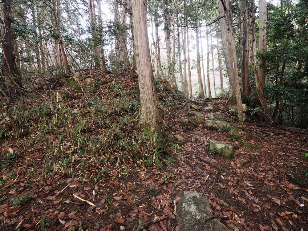 観音寺城伝本丸南虎口