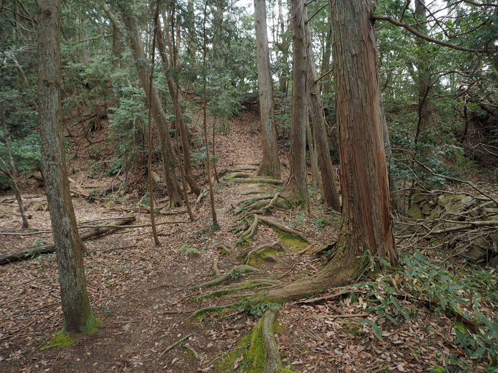 観音寺城伝平井丸伝本丸通路