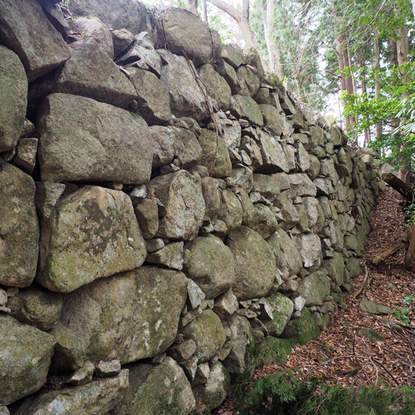 観音寺城 (21)