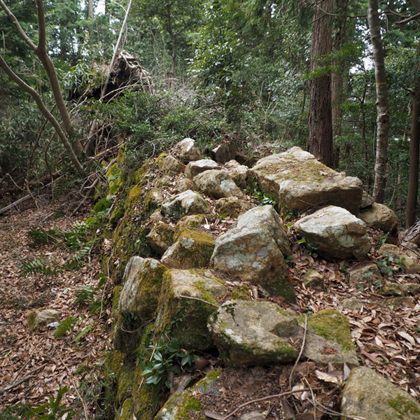 観音寺城 (17)