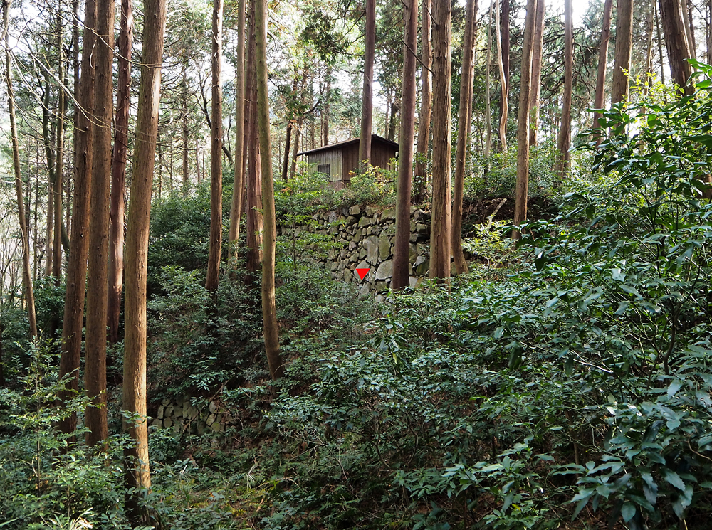 御茶屋平北辺石垣