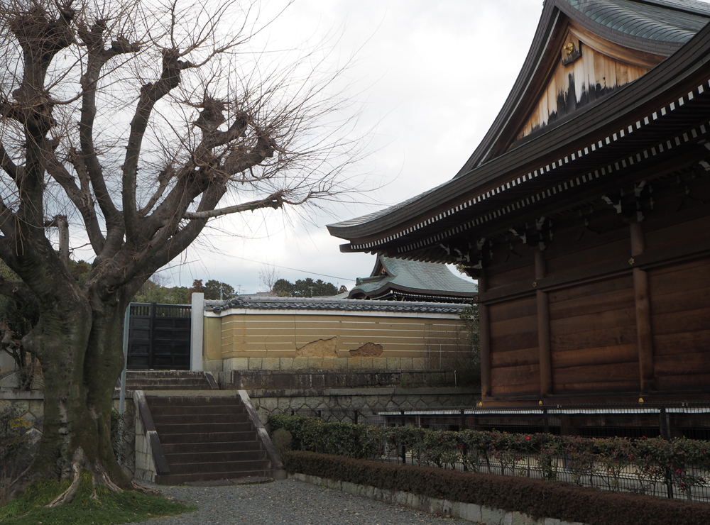 善正寺 墓所入口