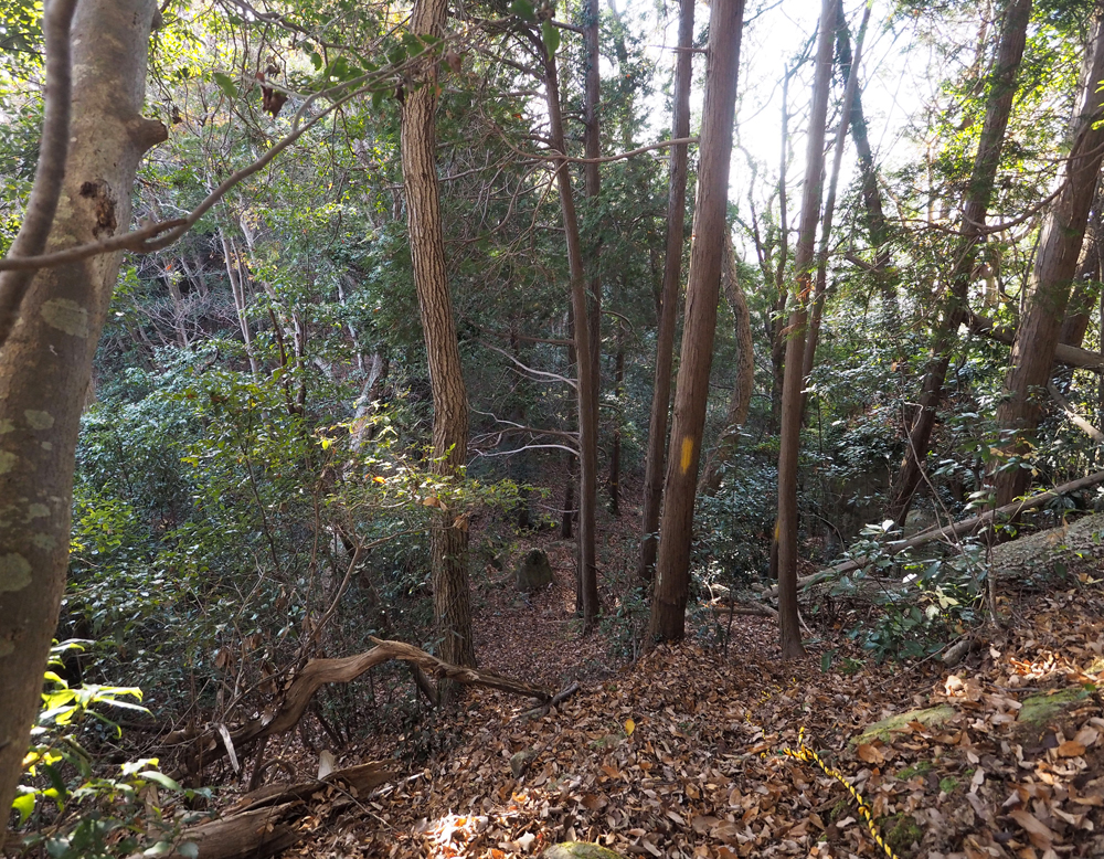 伝池田丸下大堀切