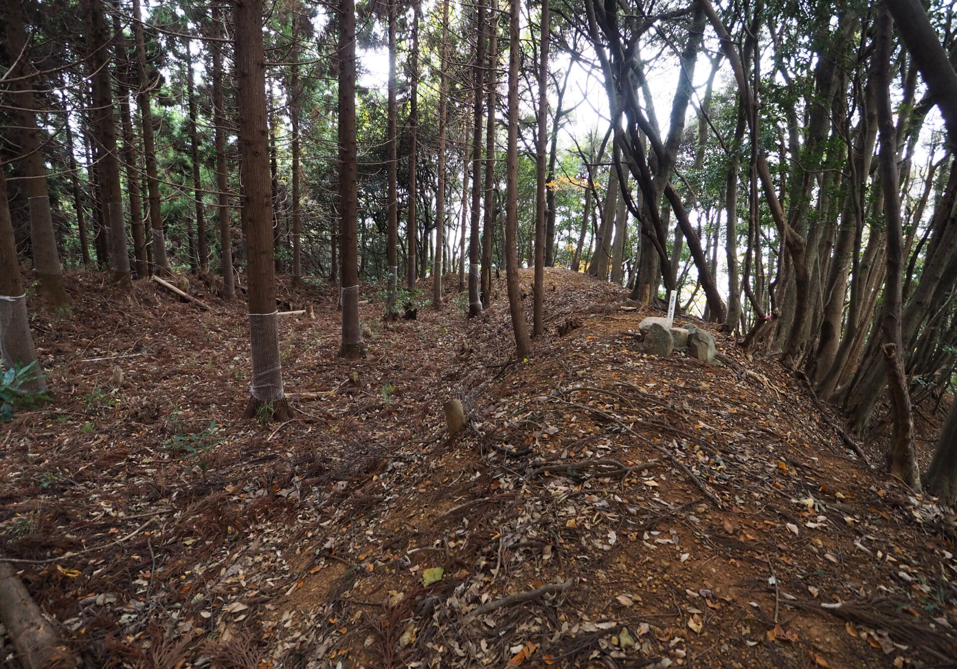 中山の付城土塁