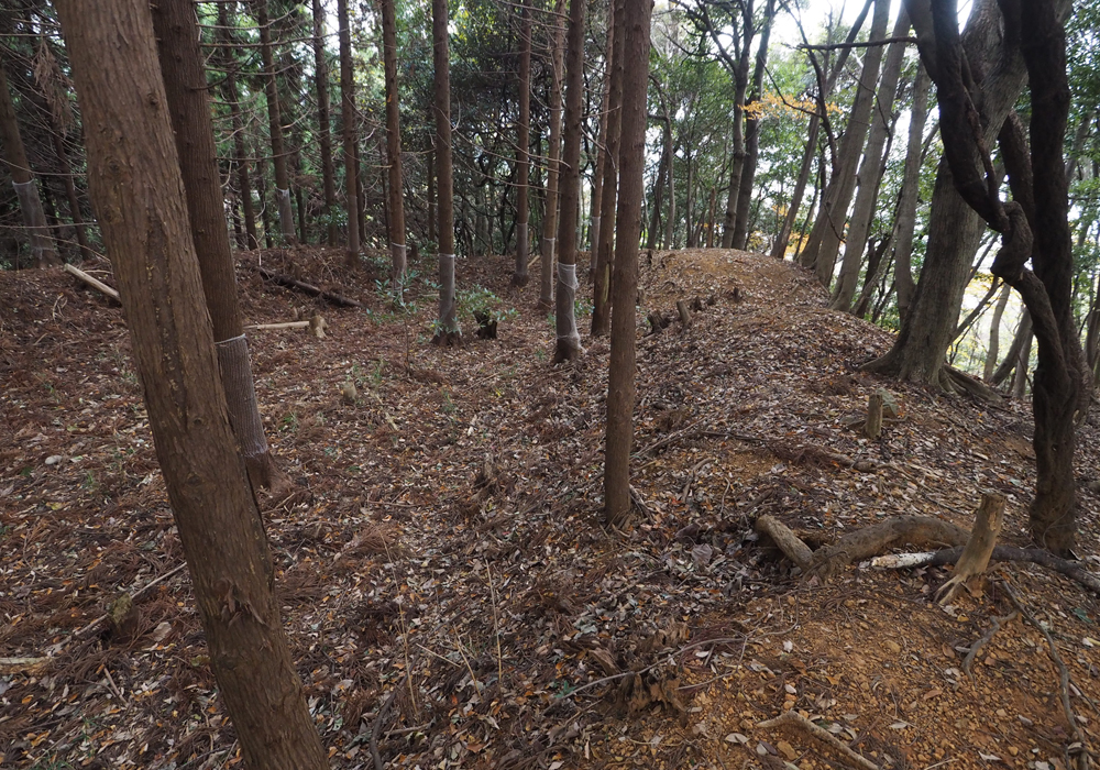 中山の付城土塁