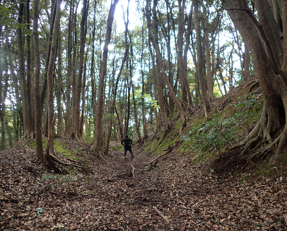 狩倉山城横堀