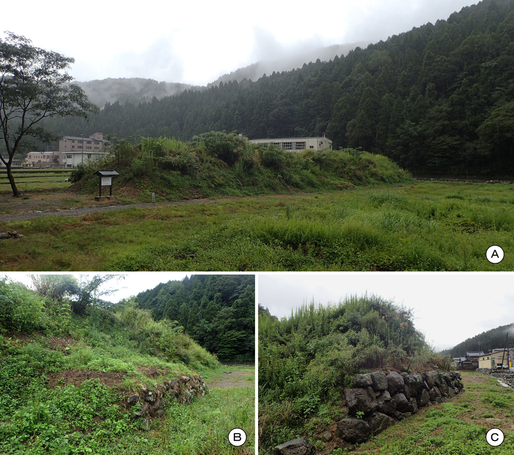 上城戸土塁・石垣