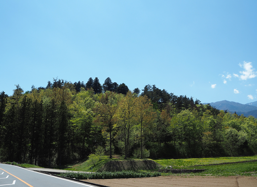 新府城