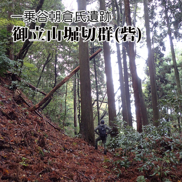御立山堀切群 (1)　一乗谷左岸の城砦