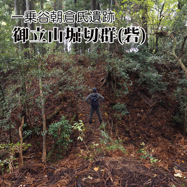 御立山堀切群 (2)　一乗谷左岸の城砦