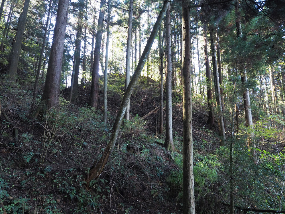 小見放城遠景