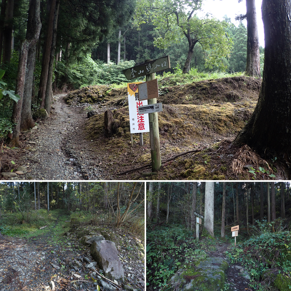小見放城一乗谷城登山ルート