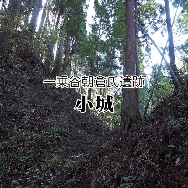 一乗谷 小城