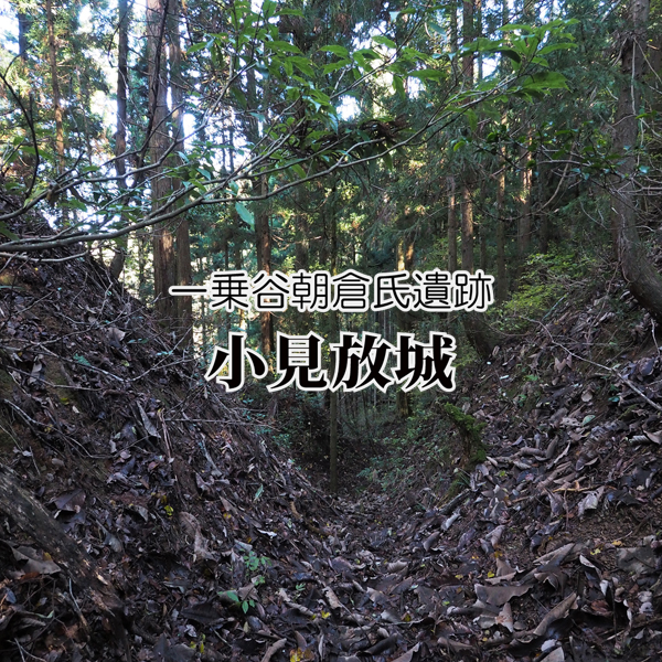 一乗谷 小見放城