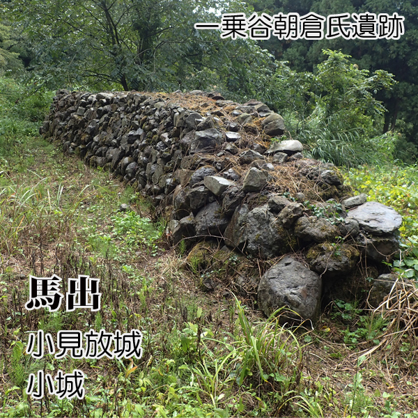 朝倉館以前の一乗谷 ｢馬出｣