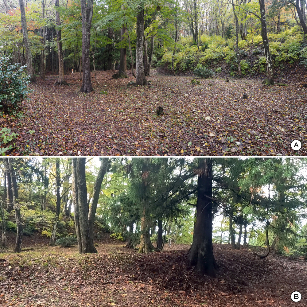 一乗谷城観音屋敷