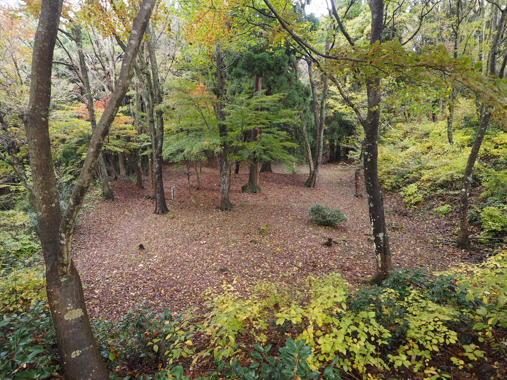 一乗谷城観音屋敷全景