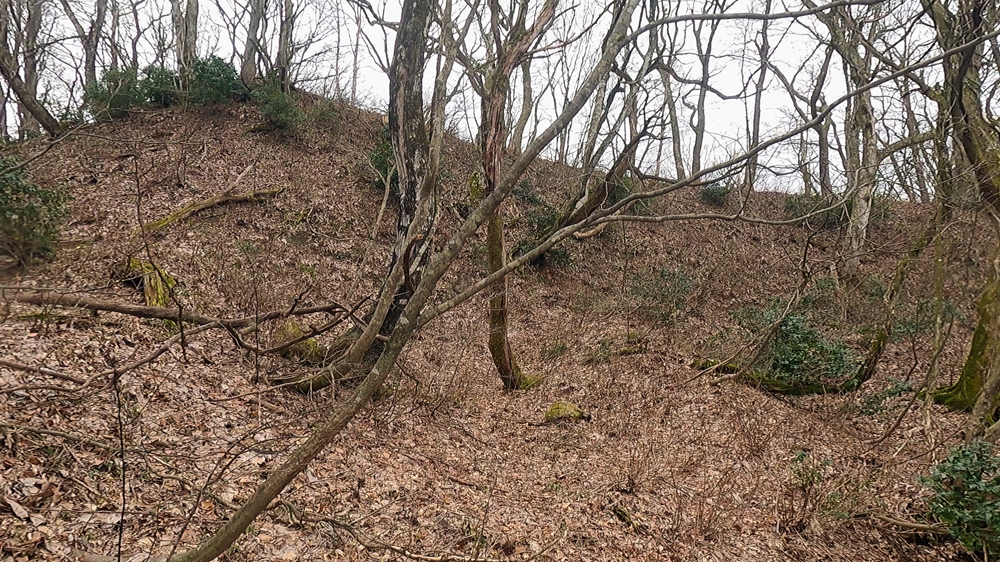 一乗谷城三の丸北稜線