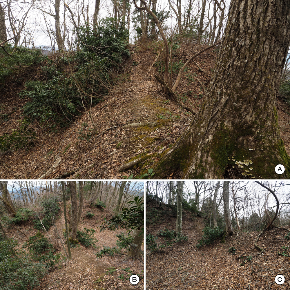 一乗谷城 堀切f 土橋(障壁)