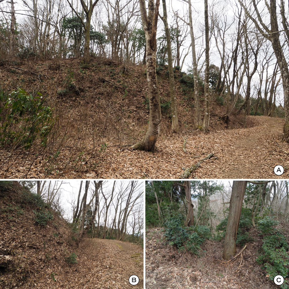 一乗谷城一の丸