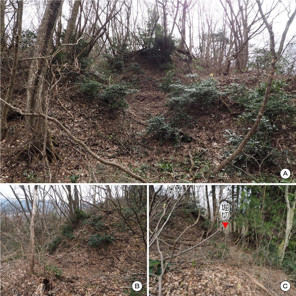 一乗谷城 一の丸北東斜面 竪堀、堡塁堀切