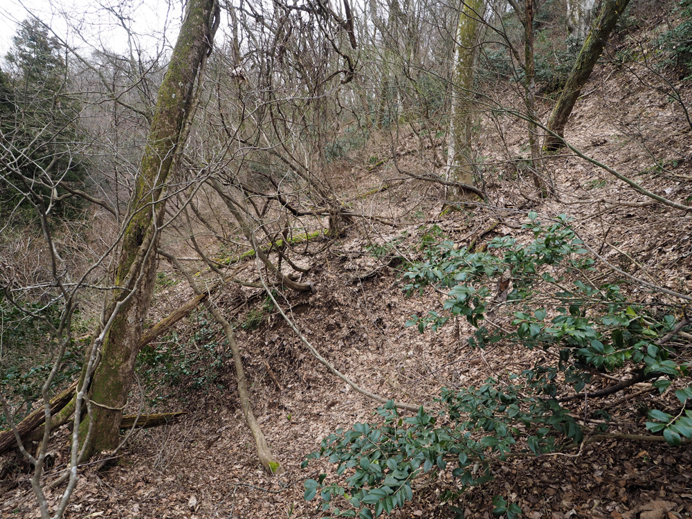 一乗谷城 一の丸･二の丸間北斜面 畝状空堀群