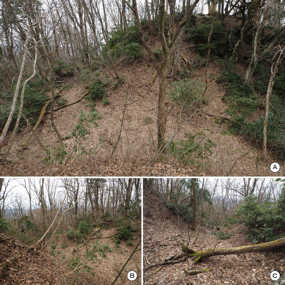 一乗谷城 堀切a