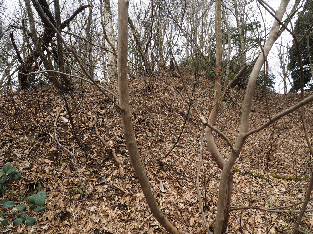 一乗谷城　堀切c･二の丸北東斜面 畝状空堀群(竪土塁)