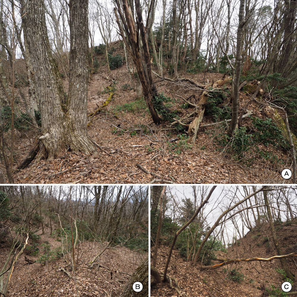 一乗谷城 堀切a 竪土塁