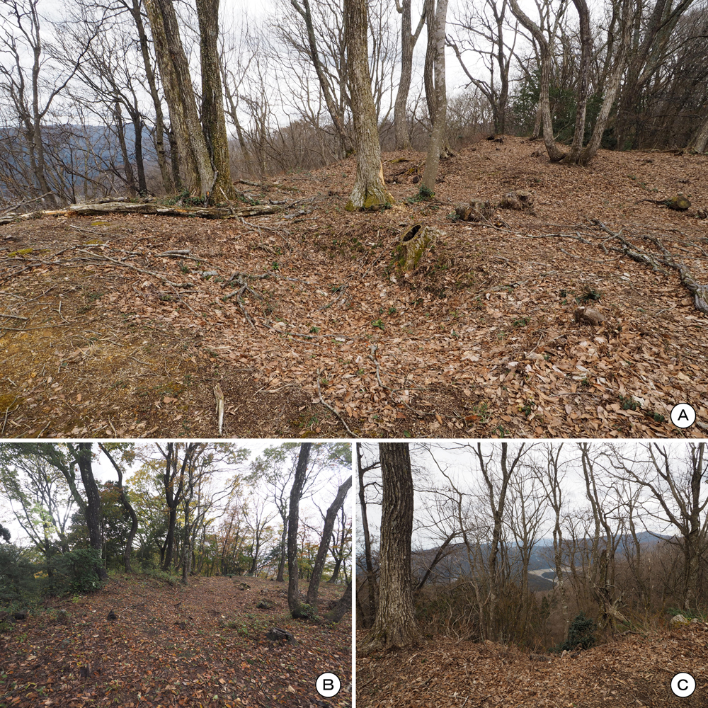 一乗谷城二の丸