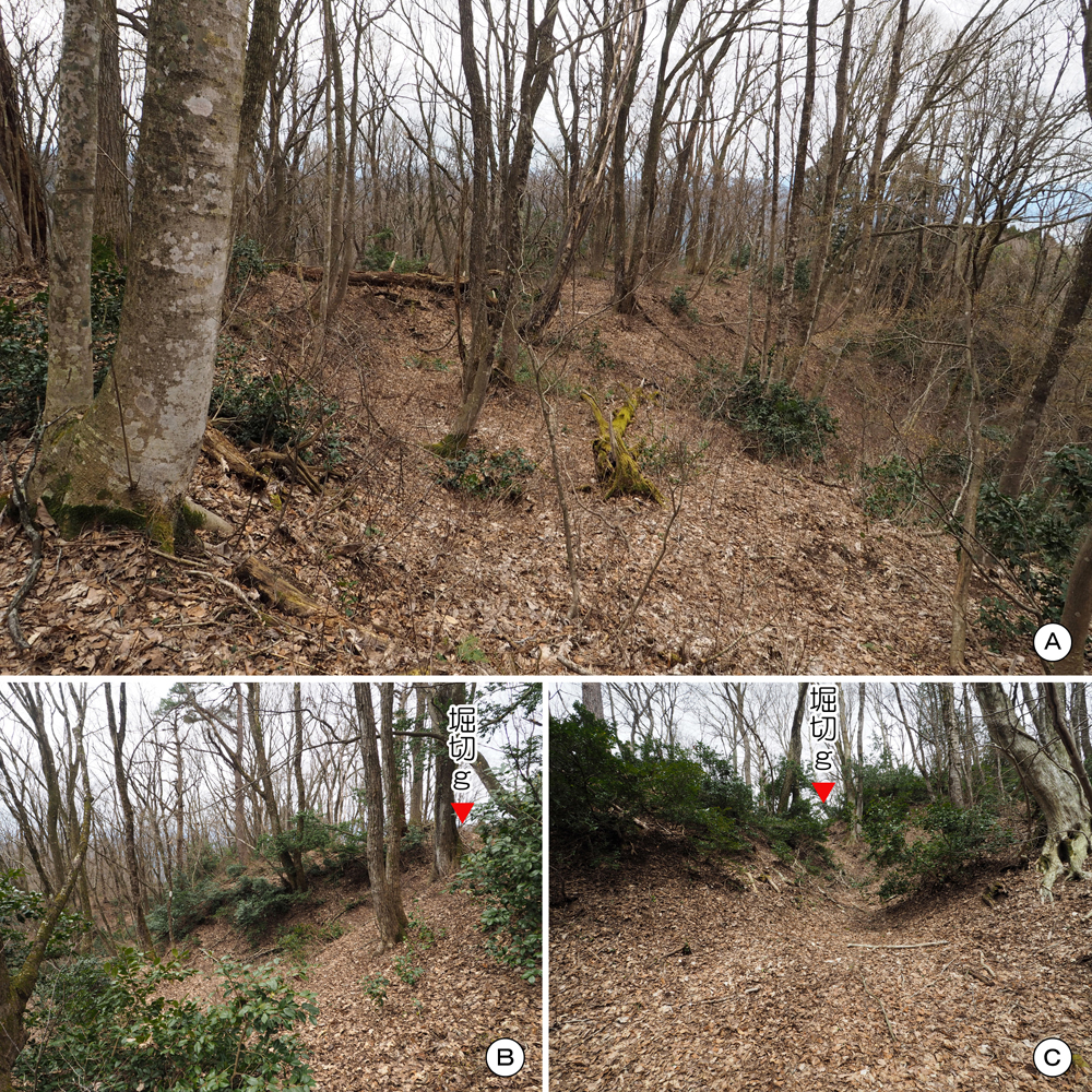 一乗谷城 曲輪M･堀切g