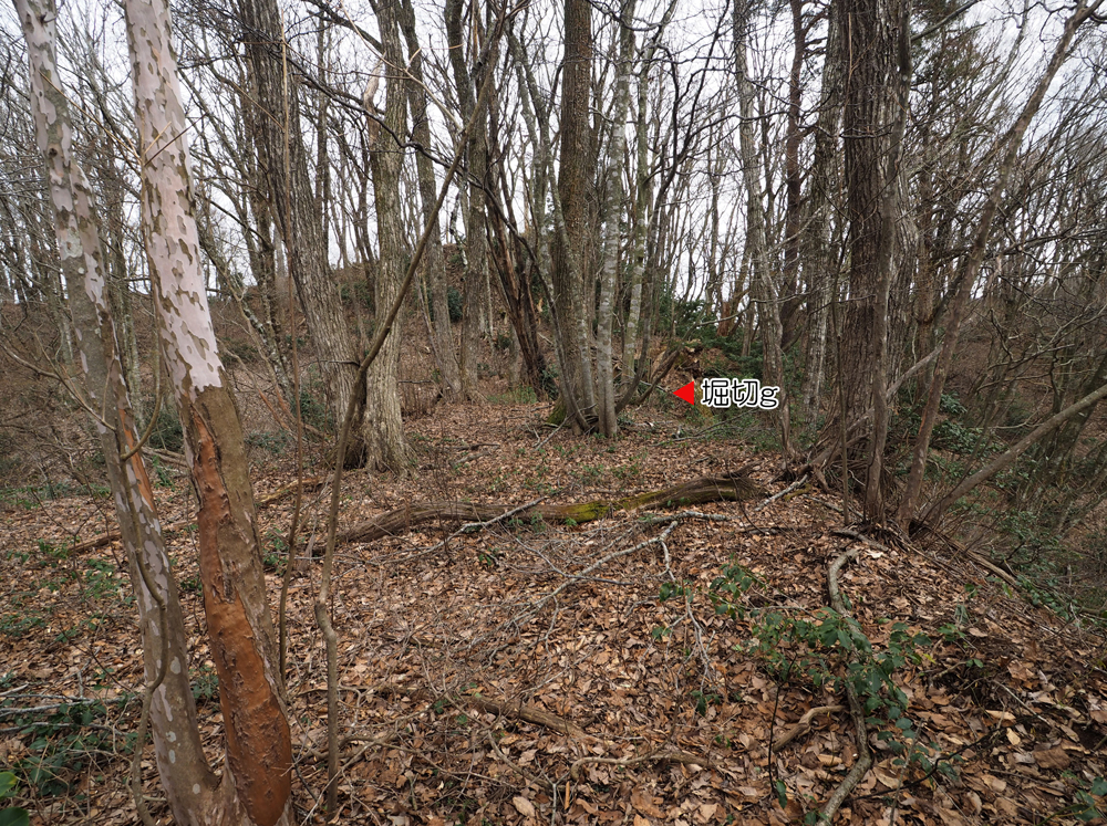 一乗谷城 曲輪M