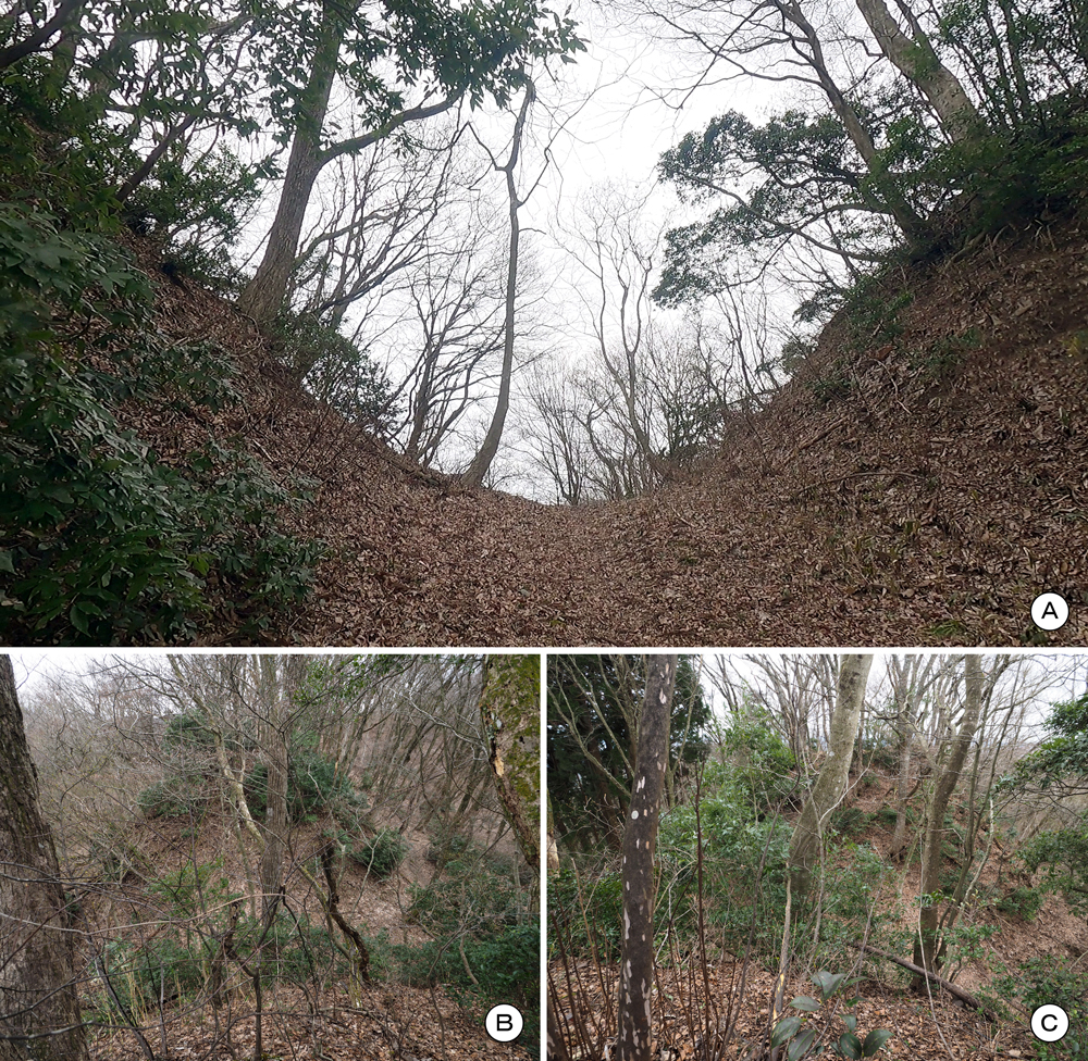 一乗谷城二の丸三の丸間堀切