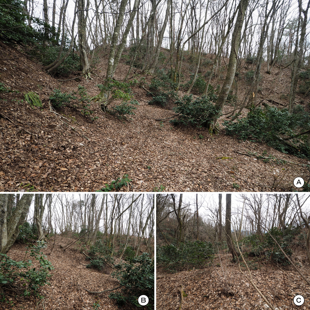 一乗谷城 曲輪M南斜面畝状空堀群