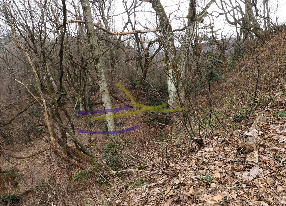 一乗谷城 堀切j 竪土塁(障壁)