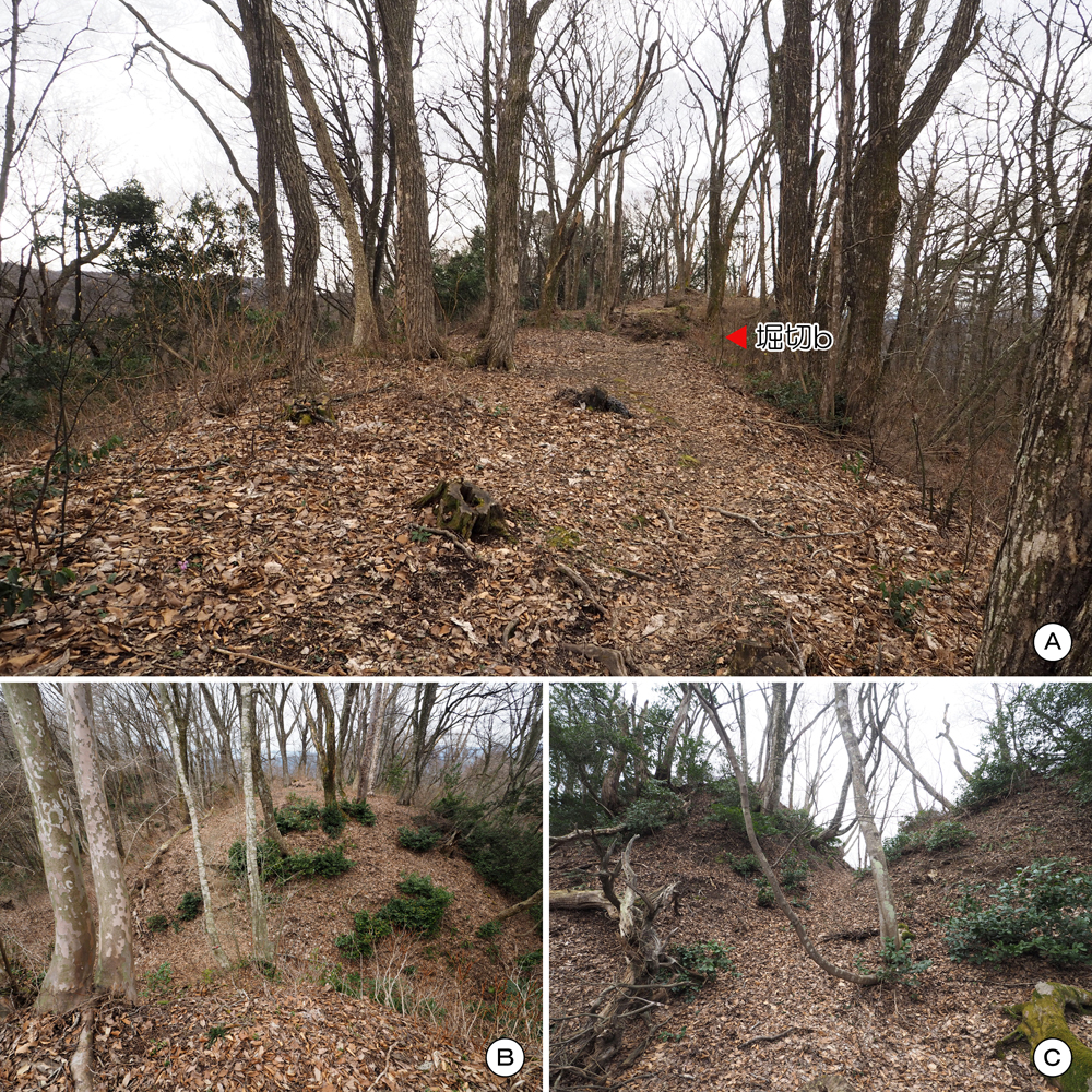 一乗谷城三の丸南と南北間堀切