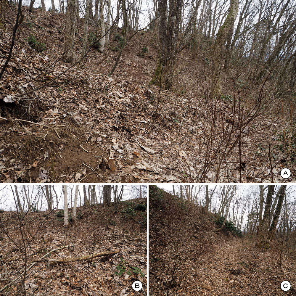 一乗谷城 三の丸西側畝状空堀群･横堀